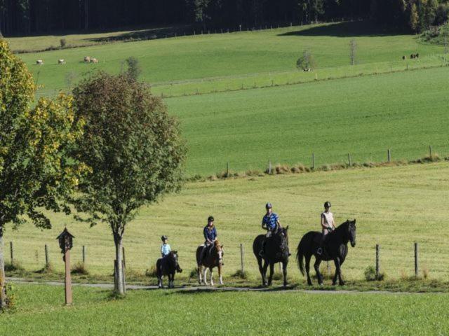 Bio-Bauernhof Samerhof Mariapfarr Zewnętrze zdjęcie